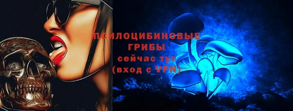 трава Пересвет