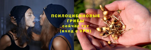 PSILOCYBIN Заволжск