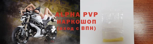 трава Пересвет