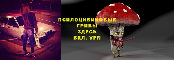 СК Покачи