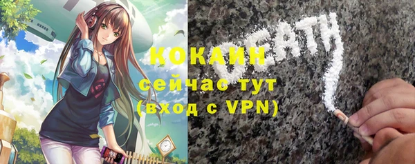 трава Пересвет